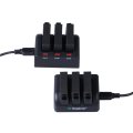 Smatree Replacement Battery (2 Pack) and 3 Channel Charger with USB Cord for GoPro HERO 4