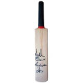 Cricket Bat Autograph 15inch