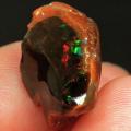 8.3ct Natural Ethiopian Chocolate Opal -Collectable-285