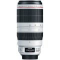Canon EF 100-400mm F4-5-5.6 II Lens