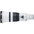 Canon EF 600mm F4 L IS USM Lens