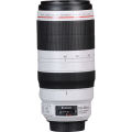 Canon EF 100-400mm F4-5-5.6 II Lens