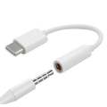 USB Type-C to 3.5mm Audio Connector Adapter with DAC White