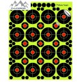 CampsBerg - 2 inch Splatter Shooting Targets