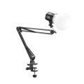 Godox DT-BA01 Suspension Arm for Lights and Mic