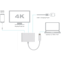 Male USB 3.1 Type C to HDMI Female Adapter + Type C + USB 3.0 | 4k Ultra HD Port Replicator - 0.10kg