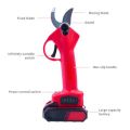 Professional Rechargeable Electric Pruning Shears
