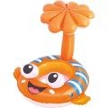 Baby Clown Fish Swim Seat