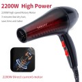 2200W Professional Hair Dryer
