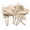 Anthony Peters - Wooden Spoons - 24pcs