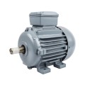 Weg Motor Elec 4P 3.00Kw 380V 100L B3 W20 / W21