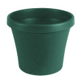 Sebor Super Pot 15Cm Green