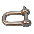 D Shackles 6Mm