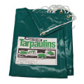 Protarp Pvc Tarpaulin 550G 6X3M Grn