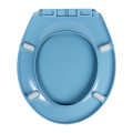 Wirquin Toilet Seat Club Thermodur Blue 1.5Kg
