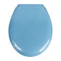 Wirquin Toilet Seat Club Thermodur Blue 1.5Kg