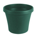 Sebor Super Pot 10Cm Green