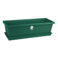 Sebor Window Box & Saucer Set 50Cm Green