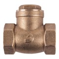 Torrenti Valve Swing Check Brass 80Mm