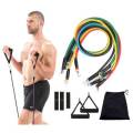 Powerball Resistance Bands Set (11 Piece)