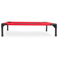 Dog Elevated Cot Bed - Medium (Red)