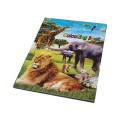 Wildlife Stickers & Colouring Book A5