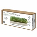 Microgreens-Starter Kit