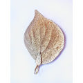 Pendant - Gold Tone Leaf. Stunning Piece ML1851