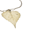 Necklace - Gold Dipped Aspen Leaf with Gold Tone Chain in Orginal Box - ML3023