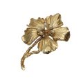 Brooch - Gold Tone Flower brooch. Stem with Flower and Faux Pearls and Diamantes - ML3537