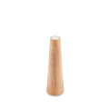 Candlestick: Arcturus - Medium - Beechwood