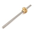Lead Screw 300mm Tr8x8 Stainless Steel brass nut included