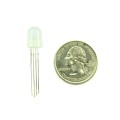 8mm RGB LED Common Anode