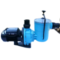 POOL PUMP AND MOTOR 0.75KW RAPID by EARTHeCO