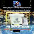 POOL CHLORINE WATERWELL PROFESSIONAL 458 4KG (FREE WATER CLARIFIER INCLUDED)