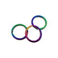 Split ring Flat (25mm) Rainbow, Ring for keyrings, keyring rings, Multi colour rainbow colours sp...