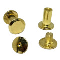 100pcs Interlocking screw 10mm, Gold, Inter screw, Interlock screw, Connecting screw, Chicago scr...