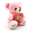 Happy Valentines Day Small Pink Teddy & Heart Pillow