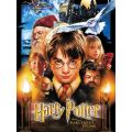 Harry Potter and the Sorcerer's Stone - Collector's 550 Piece Puzzle (New) - USAopoly 1000G