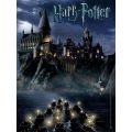 World of Harry Potter - Collector's 550 Piece Puzzle (New) - USAopoly 1000G
