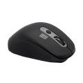 WINX DO More Wireless and Bluetooth Mouse