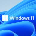 Microsoft Windows 11 Home DSP