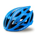 Cairbull Sterling Road Cycling Helmet