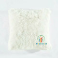 Soft Fluffy Pillow cover Set
