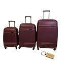Elite Traveler: Premium Bullet Luggage Collection +Smte Keyring-Purple