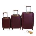 Elite Traveler: Premium Bullet Luggage Collection +Smte Keyring-Purple