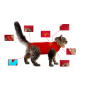 MPS - Veterinary Range Shirt CAT
