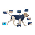 MPS - Veterinary Range Shirt DOG