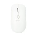 Body Glove 4D Button Mouse - White