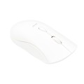 Body Glove 4D Button Mouse - White